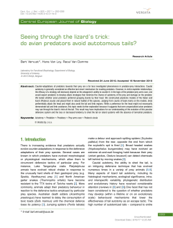Seeing through the lizard`s trick: do avian predators avoid