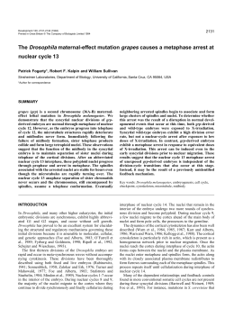 The Drosophila maternal-effect mutation grapes