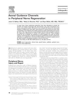 Axonal Guidance Channels in Peripheral Nerve Regeneration