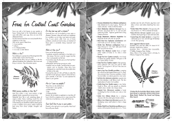 Ferns - Australian Plant Society Central Coast Group