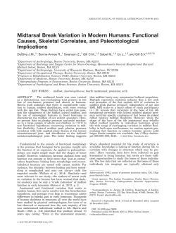 Midtarsal Break Variation in Modern Humans: Functional Causes