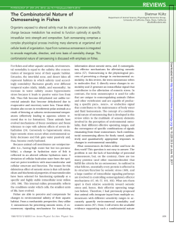 The Combinatorial Nature of Osmosensing in Fishes