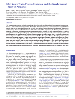 Life History Traits, Protein Evolution, and the
