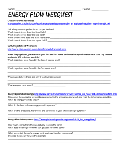ENERGY FLOW WEBQUEST