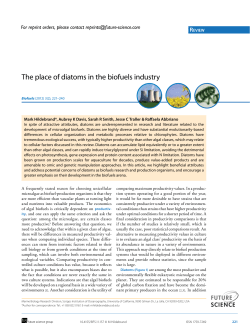 The place of diatoms in the biofuels industry