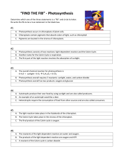 C5 Find the Fib-Photosynthesis