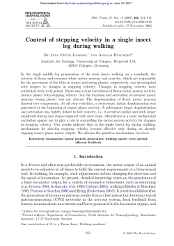 Control of stepping velocity in a single insect leg during walking