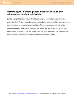 Arctium lappa[i] &ndash; Burdock pappus bristles can