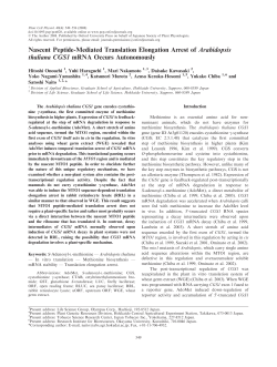 Nascent Peptide-Mediated Translation