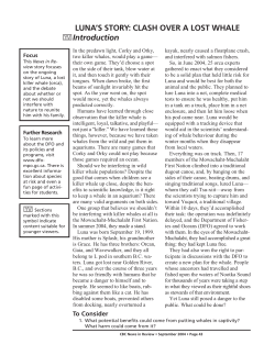 Luna`s Story: Clash Over a Lost Whale