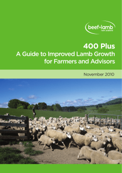 400 Plus - Beef + Lamb New Zealand