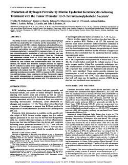 Production of Hydrogen Peroxide by Murine Epidermal