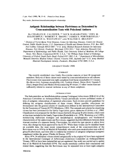 Antigenic Relationships between Flaviviruses as Determined by