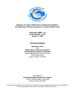 The Effect of an Opened Packery Channel on Fisheries