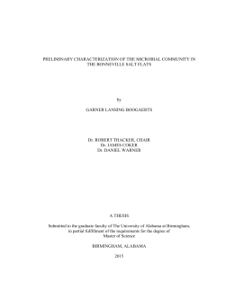 Preliminary Characterization of the Microbial Community in