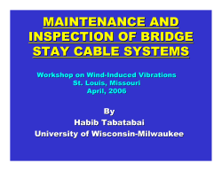 maintenance and inspection of bridge stay cable systems