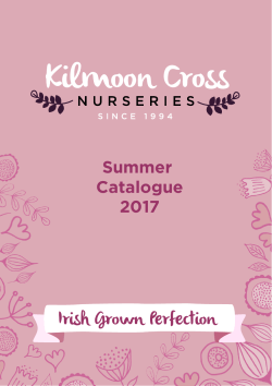- Kilmoon Cross Nurseries
