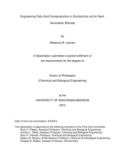 Engineering Fatty Acid Overproduction in Escherichia coli for Next