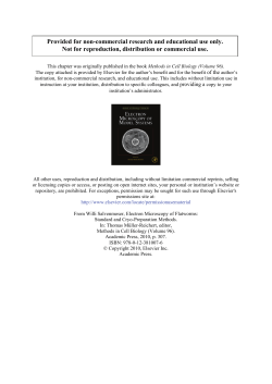 Electron Microscopy of Flatworms: Standard and Cryo