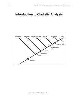 Introduction to Cladistic Analysis