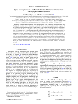 Spiral-wave dynamics in a mathematical model of human ventricular