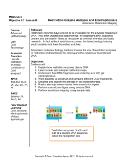 Objective 2.1 Lesson B Restriction Enzyme Analysis and