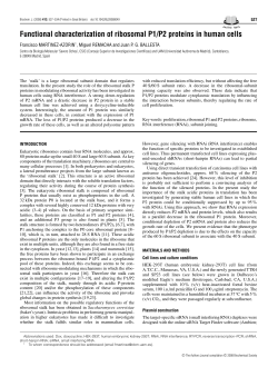 Functional characterization of ribosomal P1/P2 proteins in human cells