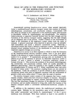 role of lipid in the formation and function
