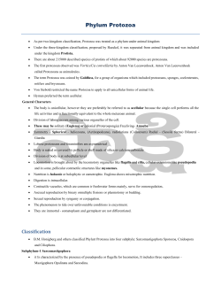 02 1Phylum Protozoa - Sakshieducation.com