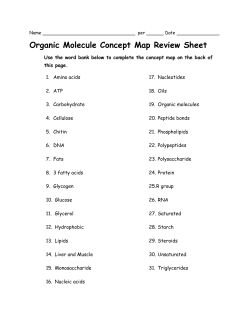 Organic Molecule Concept Map Review Sheet