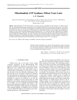 Mitochondrial ATP Synthase: Fifteen Years Later