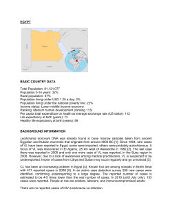 EGYPT BASIC COUNTRY DATA Total Population: 81,121,077