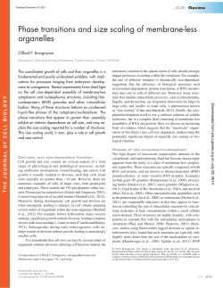 Phase transitions and size scaling of membrane