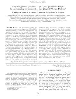 Morphological adaptations of yak (Bos grunniens) tongue to the