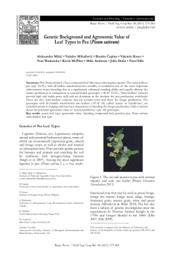 Genetic Background and Agronomic Value of Leaf Types in Pea