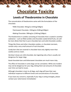 Chocolate Toxicity in Dogs