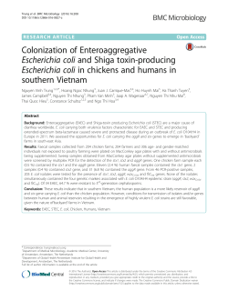 Colonization of Enteroaggregative Escherichia coli and Shiga toxin