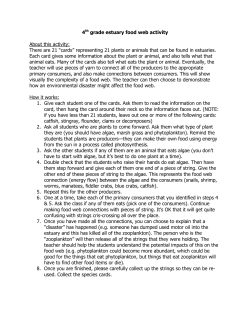 Estuary Food Web Activity