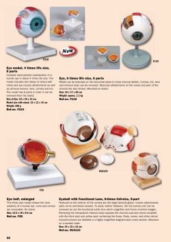 Eyeball with Functional Lens, 6-times full-size, 5