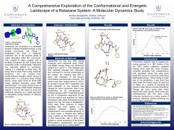 Kentaro Bodzewski, Andrew Johnson Concordia University