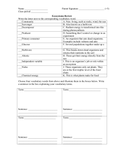 Adobe Acrobat Document