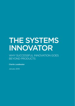 the systems innovator - Leadership for Change