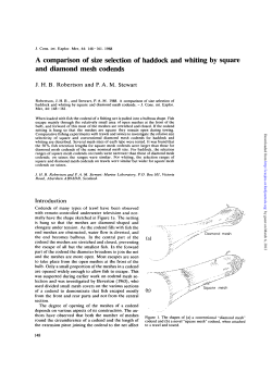 A comparison of size selection of haddock and whiting by square