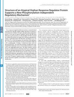 Structure of an Atypical Orphan Response Regulator Protein
