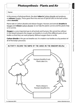 Photosynthesis - Plants and Air - E