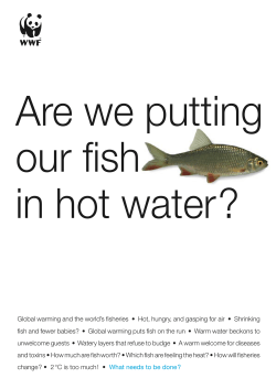 Are we putting our fish in hot water?