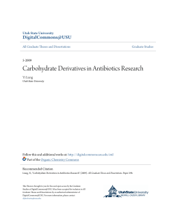 Carbohydrate Derivatives in Antibiotics Research