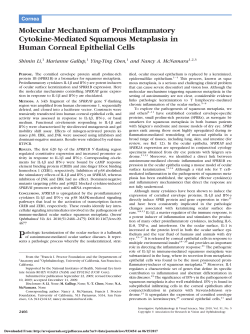 Molecular Mechanism of Proinflammatory Cytokine