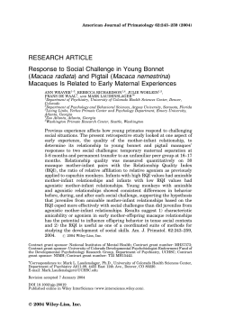 Response to social challenge in young bonnet