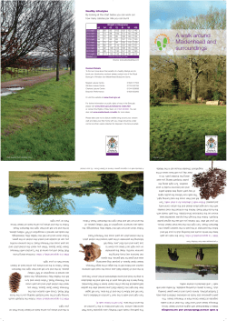 Maidenhead walk - Royal Borough of Windsor and Maidenhead